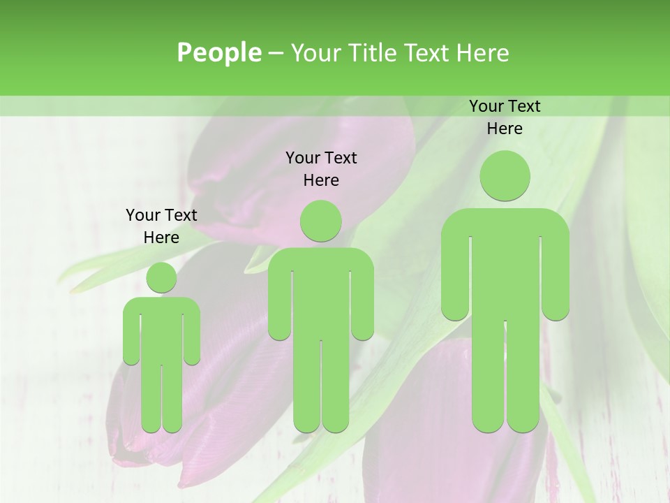 Strau Karte Tulpen PowerPoint Template