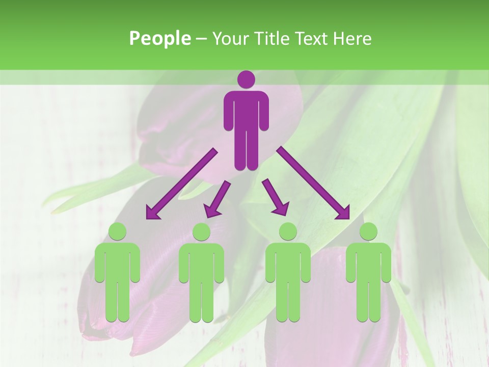 Strau Karte Tulpen PowerPoint Template