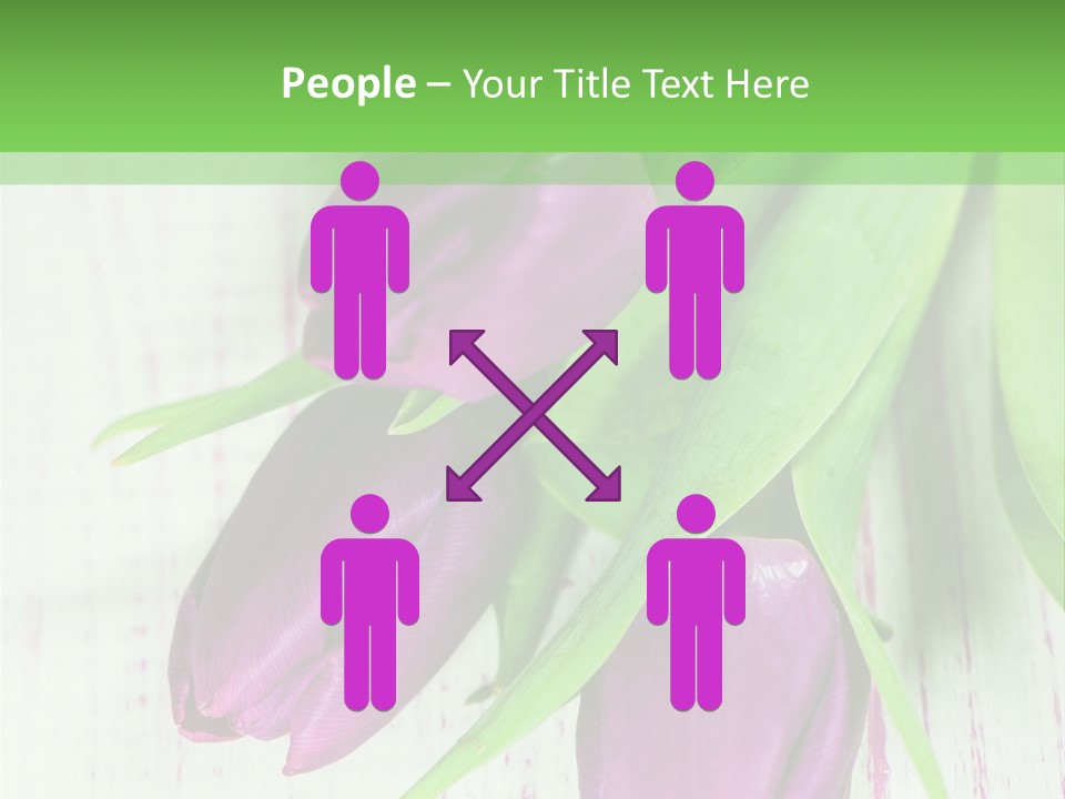 Strau Karte Tulpen PowerPoint Template