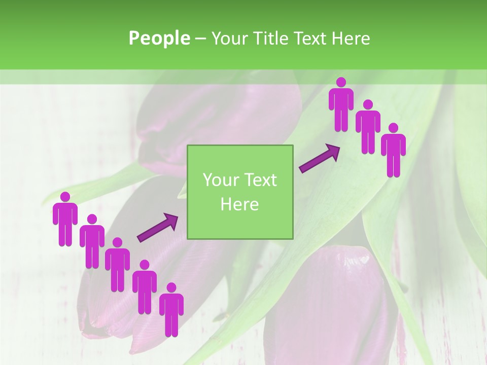 Strau Karte Tulpen PowerPoint Template