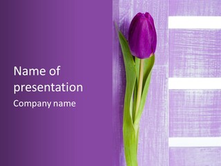 Gutschein Tulpen Blumenstrau PowerPoint Template