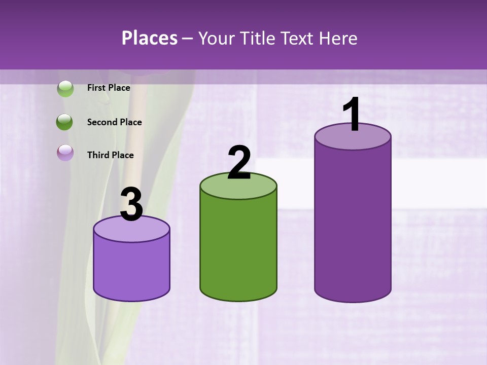 Gutschein Tulpen Blumenstrau PowerPoint Template