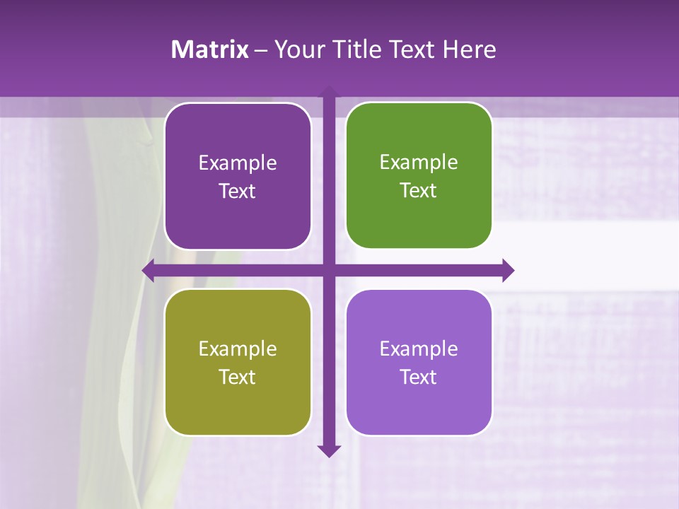 Gutschein Tulpen Blumenstrau PowerPoint Template