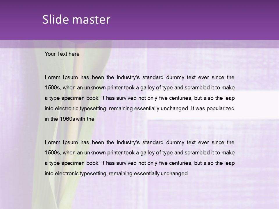 Gutschein Tulpen Blumenstrau PowerPoint Template