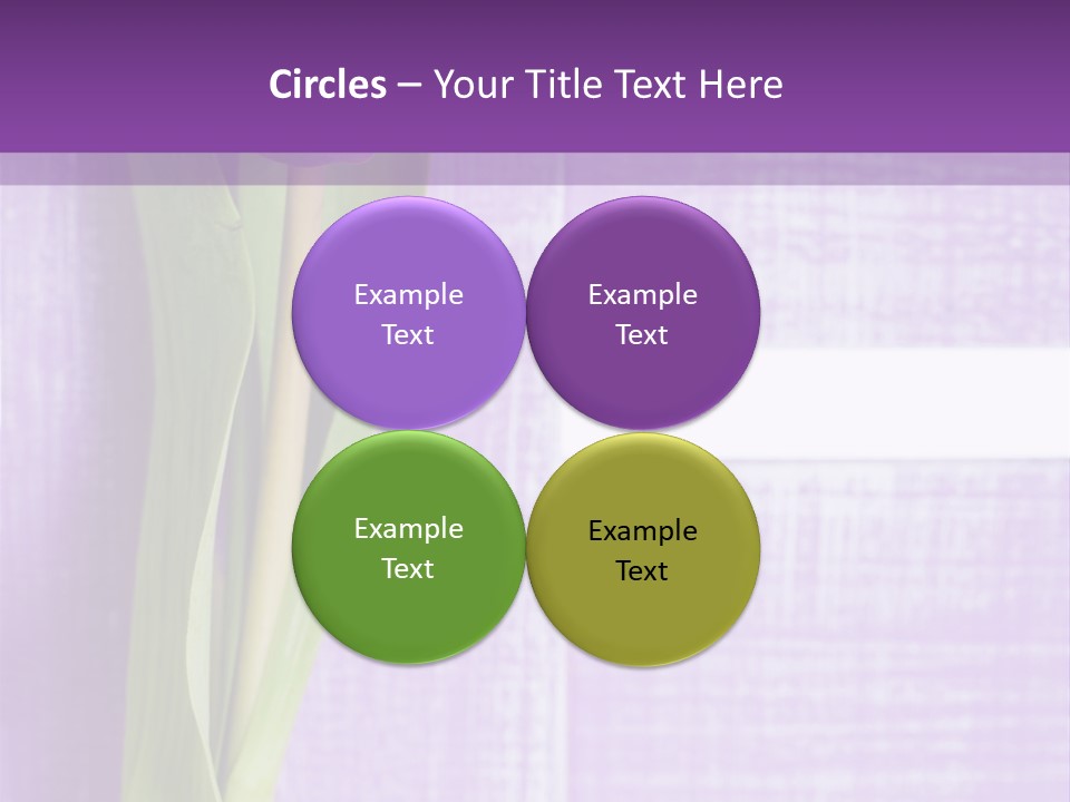 Gutschein Tulpen Blumenstrau PowerPoint Template