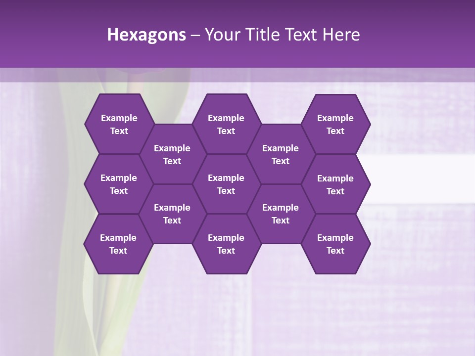 Gutschein Tulpen Blumenstrau PowerPoint Template