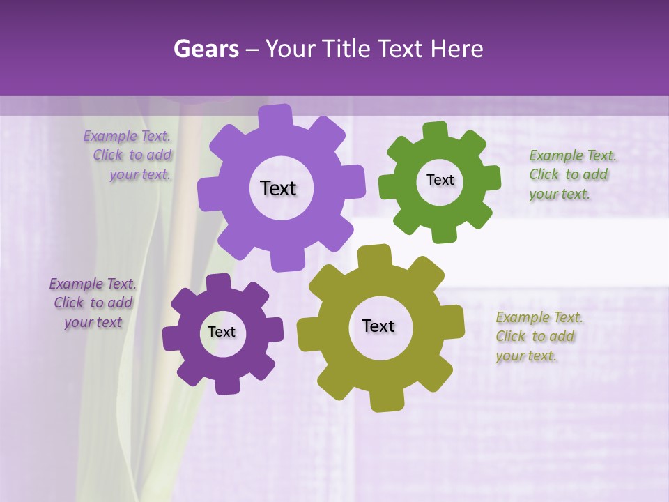 Gutschein Tulpen Blumenstrau PowerPoint Template