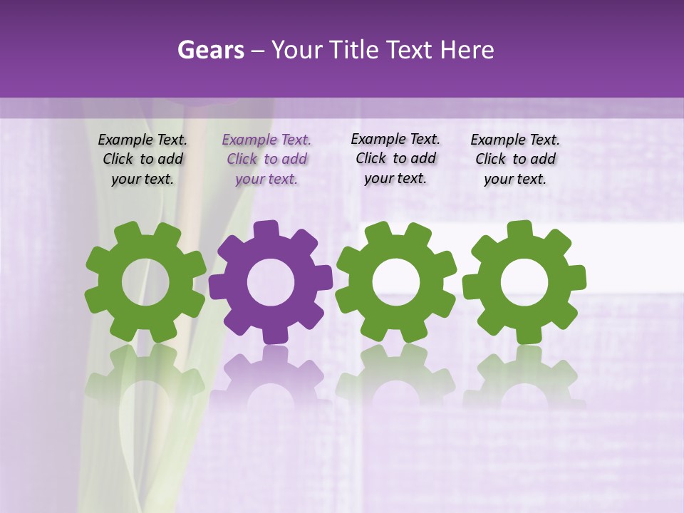 Gutschein Tulpen Blumenstrau PowerPoint Template