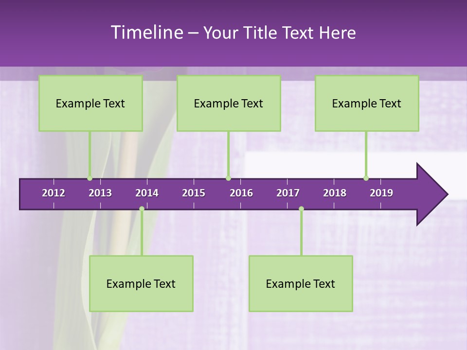 Gutschein Tulpen Blumenstrau PowerPoint Template