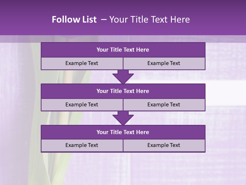 Gutschein Tulpen Blumenstrau PowerPoint Template