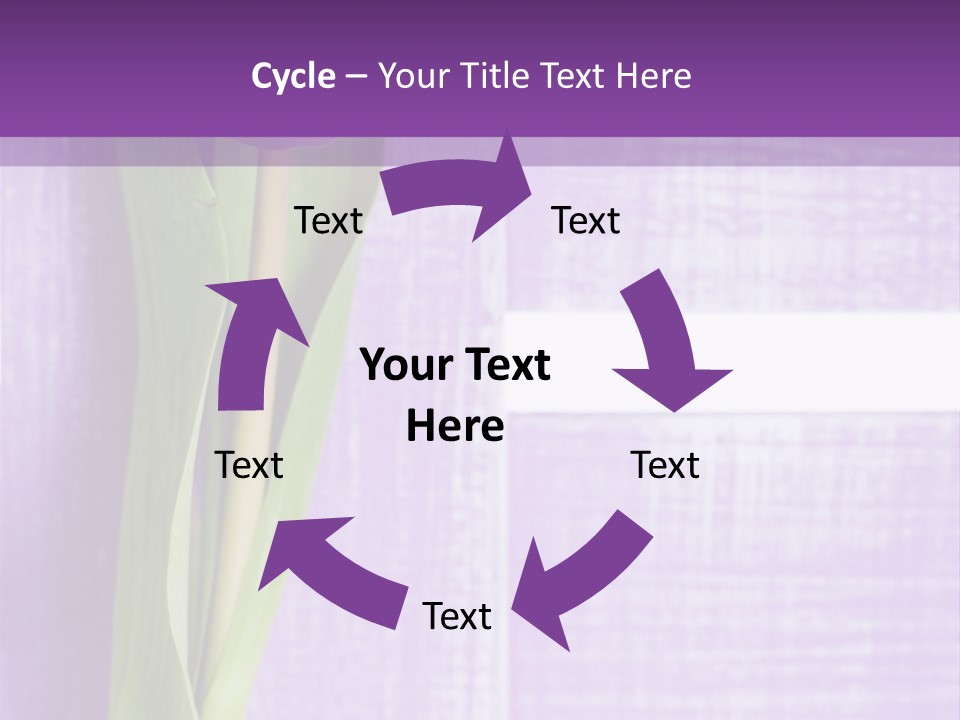 Gutschein Tulpen Blumenstrau PowerPoint Template