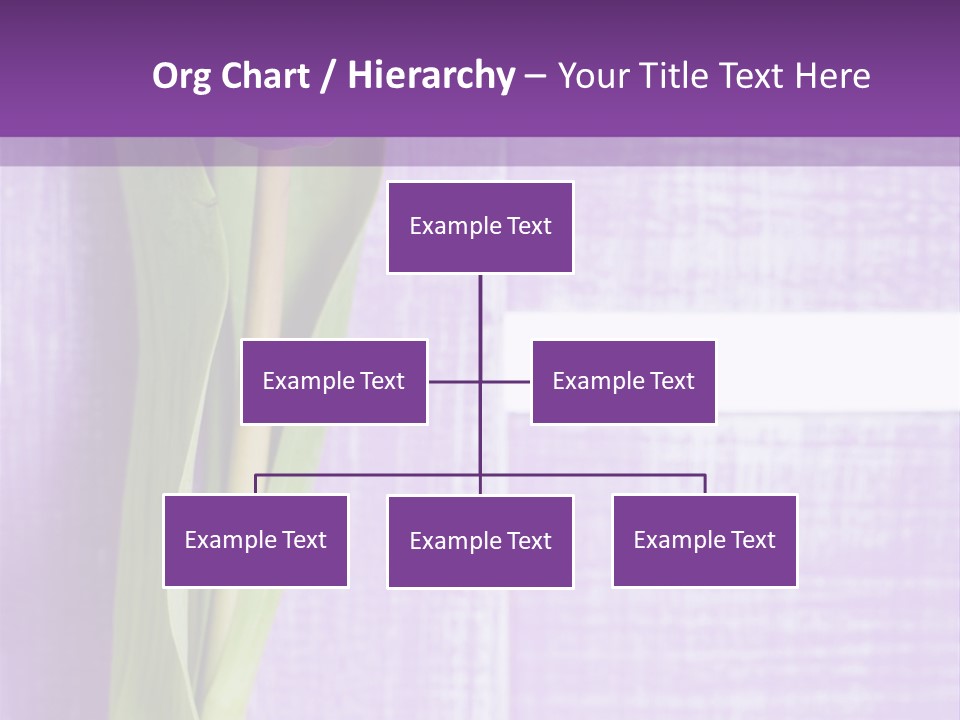 Gutschein Tulpen Blumenstrau PowerPoint Template