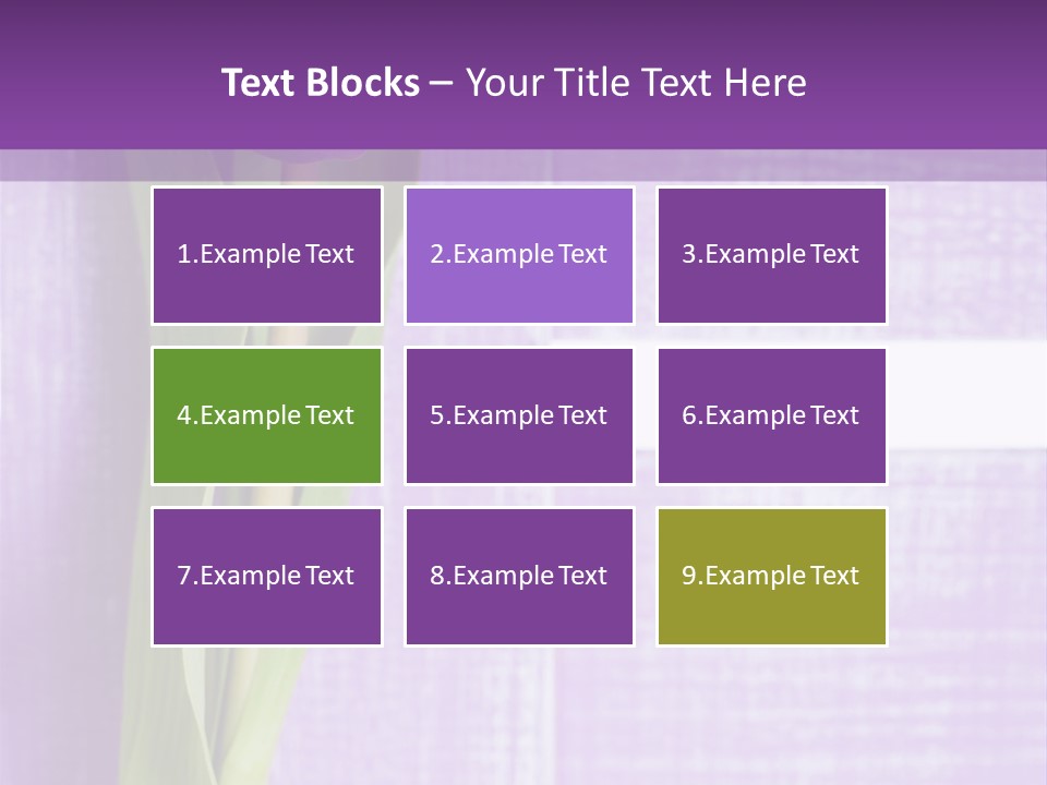 Gutschein Tulpen Blumenstrau PowerPoint Template