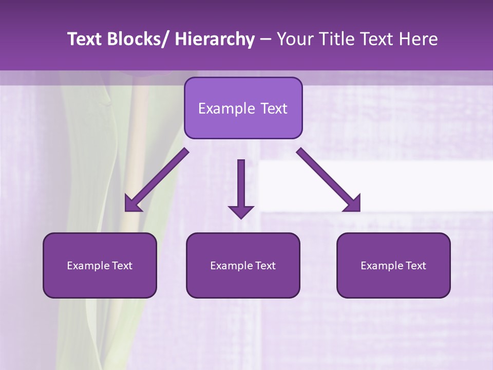 Gutschein Tulpen Blumenstrau PowerPoint Template