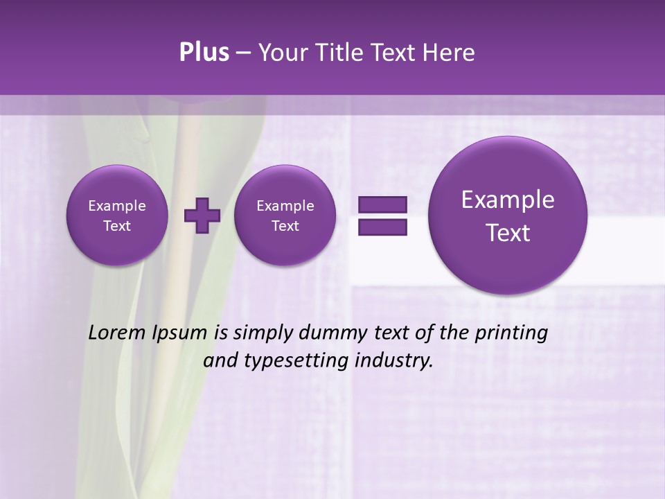 Gutschein Tulpen Blumenstrau PowerPoint Template