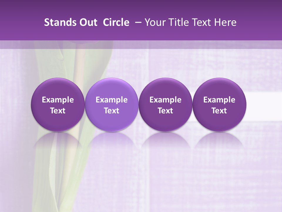 Gutschein Tulpen Blumenstrau PowerPoint Template