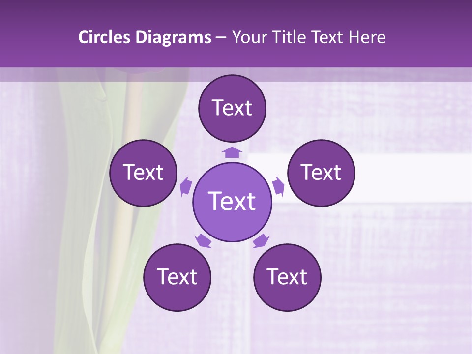 Gutschein Tulpen Blumenstrau PowerPoint Template