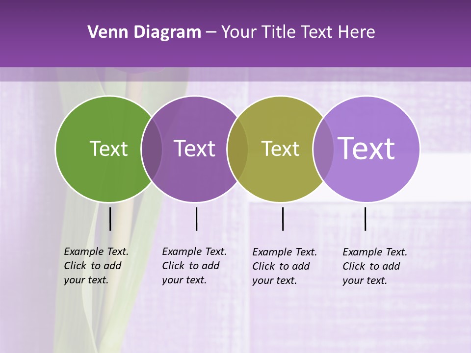Gutschein Tulpen Blumenstrau PowerPoint Template