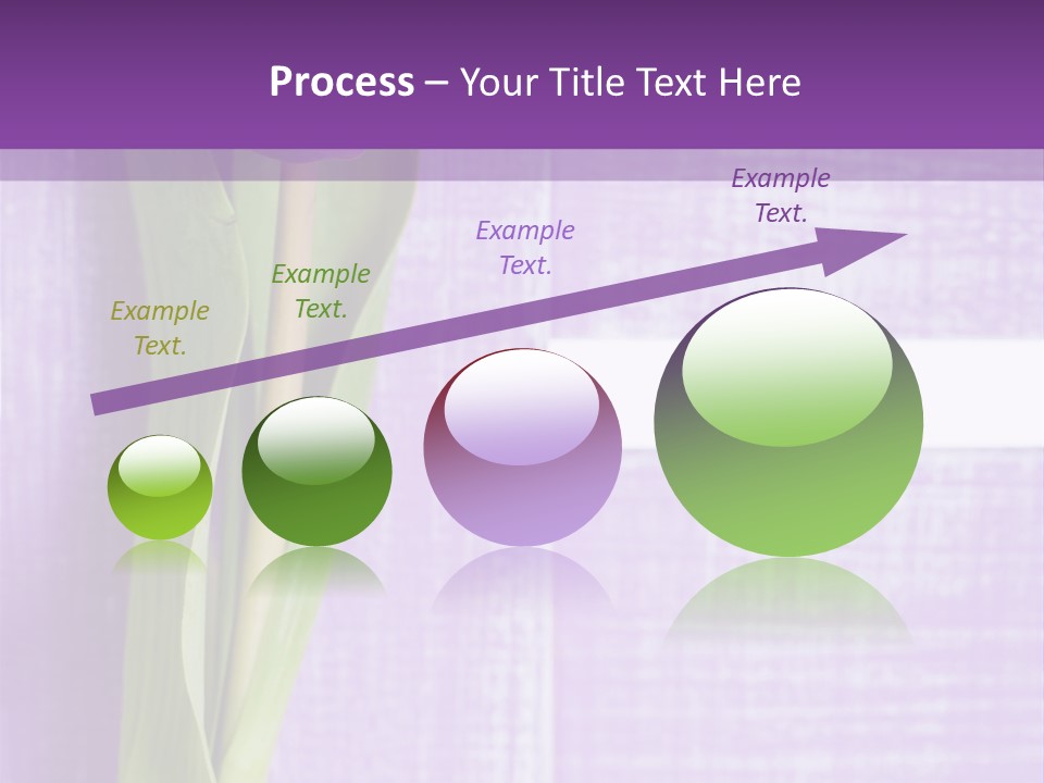 Gutschein Tulpen Blumenstrau PowerPoint Template
