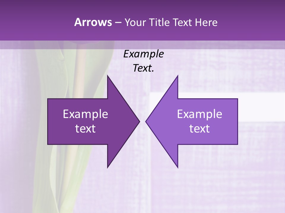 Gutschein Tulpen Blumenstrau PowerPoint Template