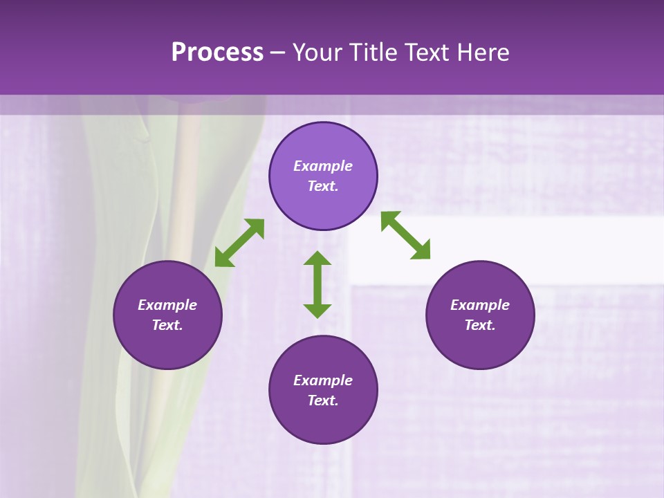 Gutschein Tulpen Blumenstrau PowerPoint Template