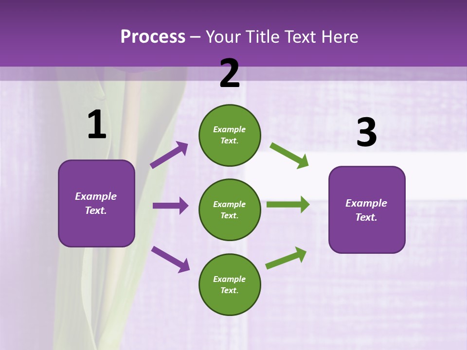 Gutschein Tulpen Blumenstrau PowerPoint Template