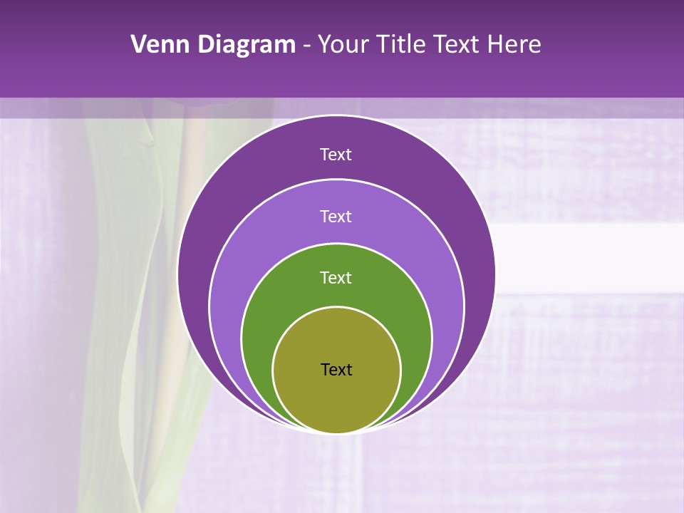 Gutschein Tulpen Blumenstrau PowerPoint Template