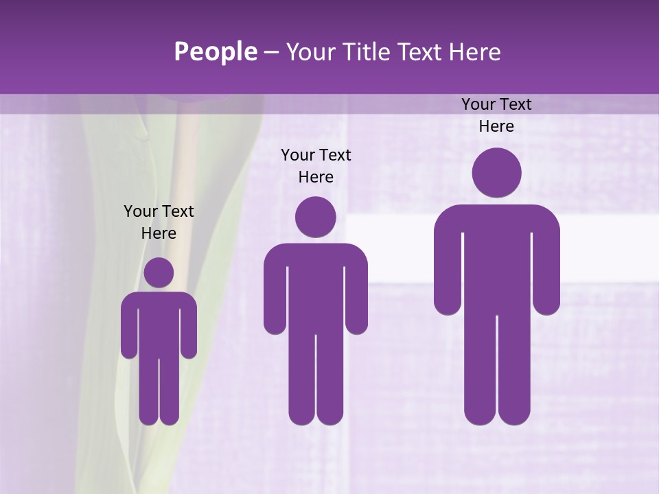 Gutschein Tulpen Blumenstrau PowerPoint Template