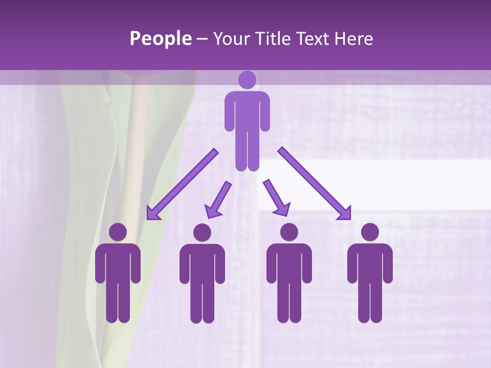 Gutschein Tulpen Blumenstrau PowerPoint Template