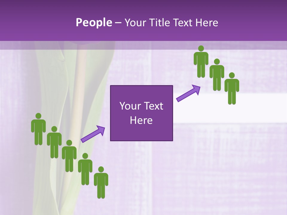 Gutschein Tulpen Blumenstrau PowerPoint Template