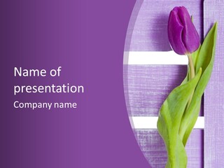 Textfreiraum Tulpe Garten PowerPoint Template