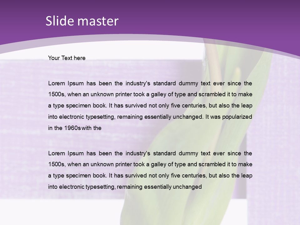 Textfreiraum Tulpe Garten PowerPoint Template