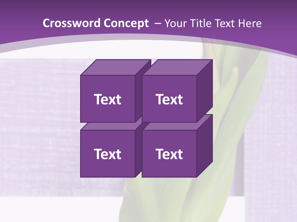 Textfreiraum Tulpe Garten PowerPoint Template