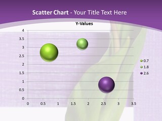 Textfreiraum Tulpe Garten PowerPoint Template