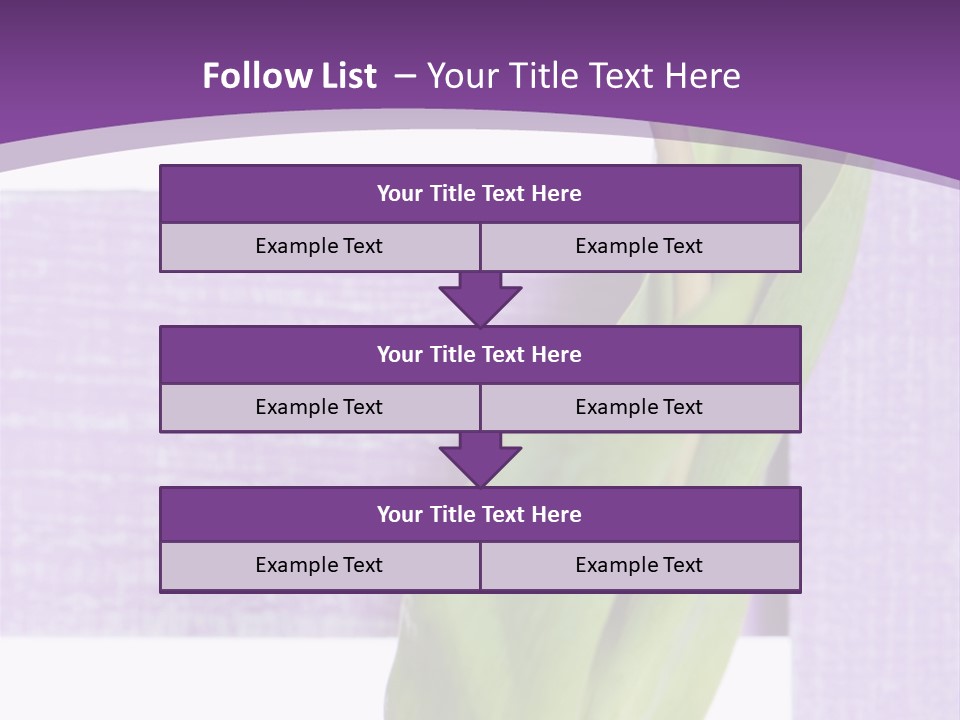 Textfreiraum Tulpe Garten PowerPoint Template