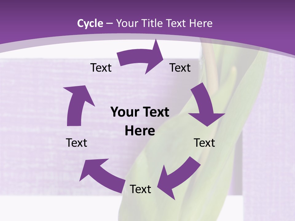 Textfreiraum Tulpe Garten PowerPoint Template