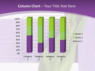 Textfreiraum Tulpe Garten PowerPoint Template