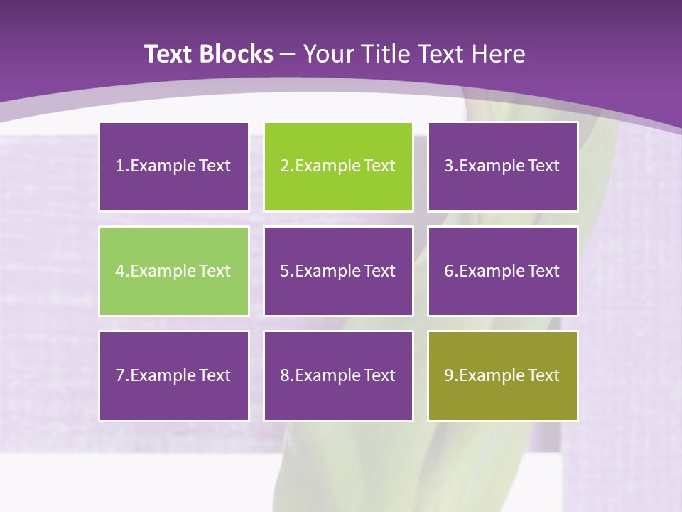 Textfreiraum Tulpe Garten PowerPoint Template