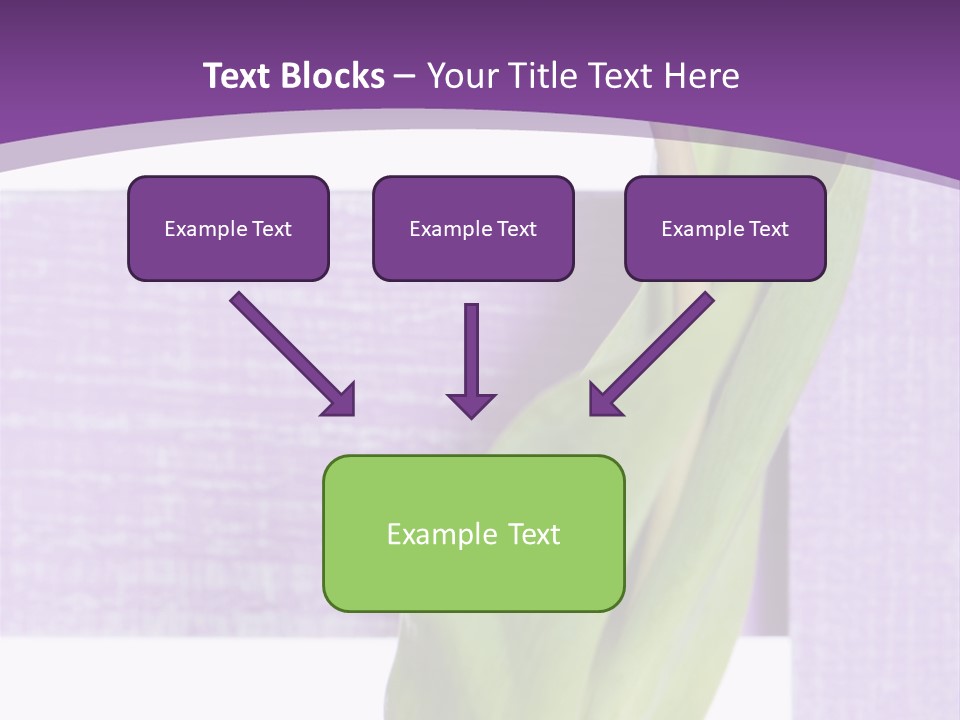 Textfreiraum Tulpe Garten PowerPoint Template