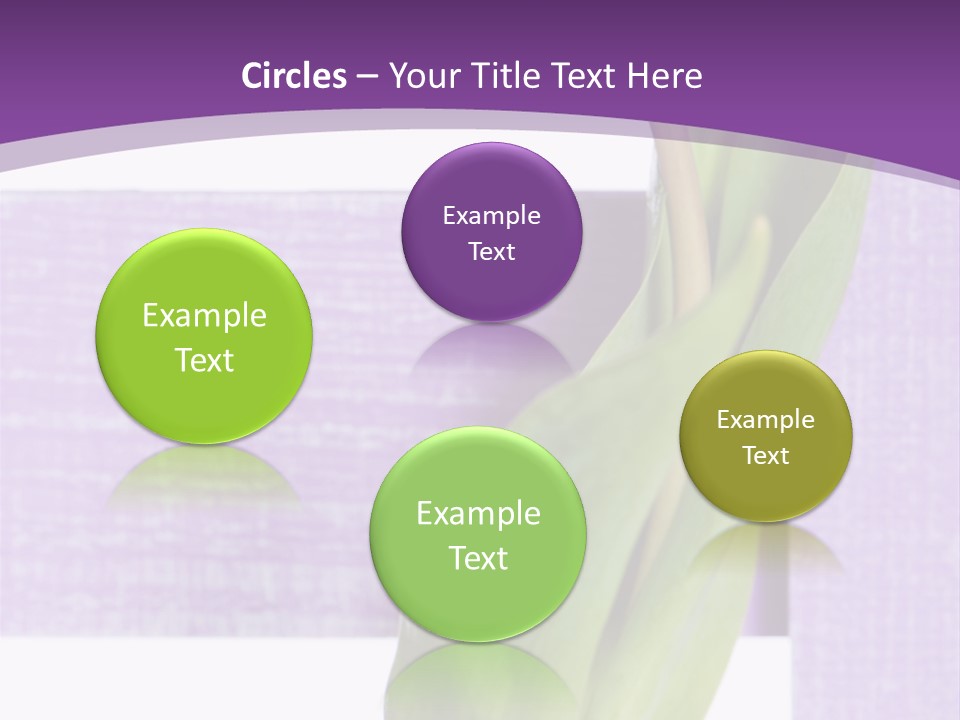 Textfreiraum Tulpe Garten PowerPoint Template