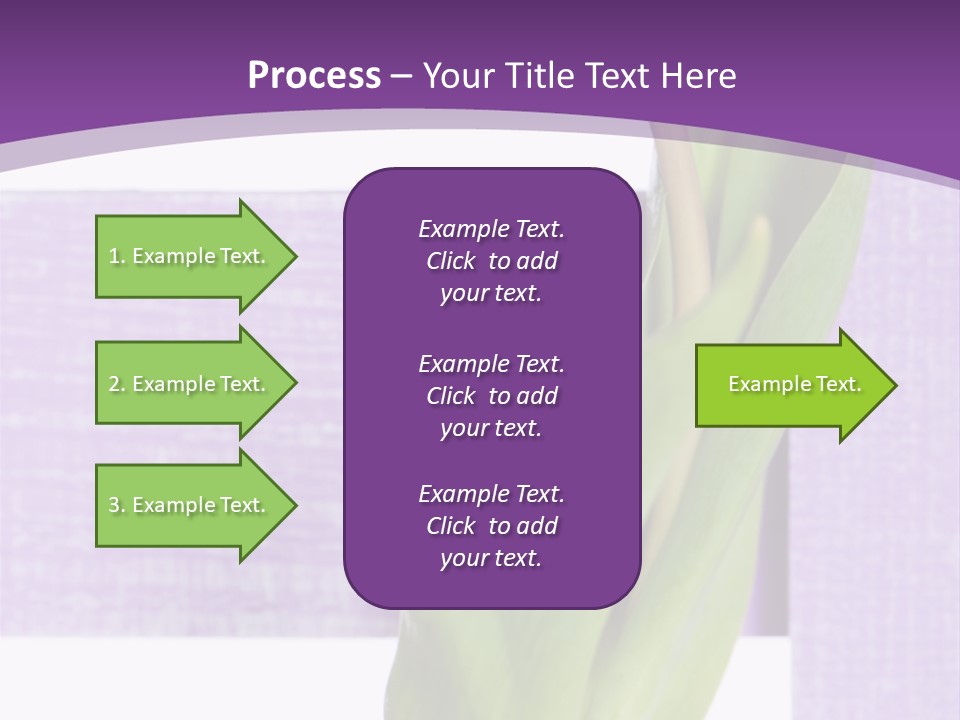 Textfreiraum Tulpe Garten PowerPoint Template