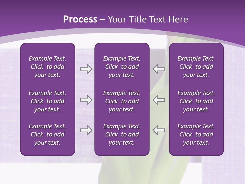 Textfreiraum Tulpe Garten PowerPoint Template