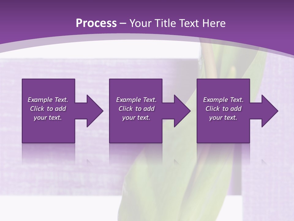 Textfreiraum Tulpe Garten PowerPoint Template