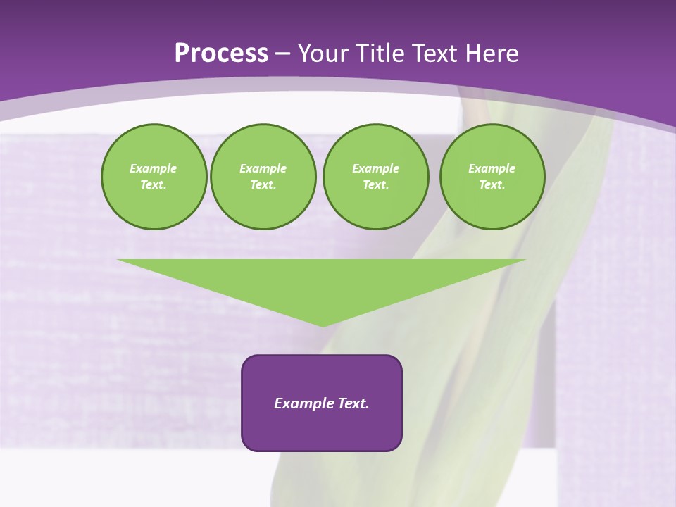 Textfreiraum Tulpe Garten PowerPoint Template