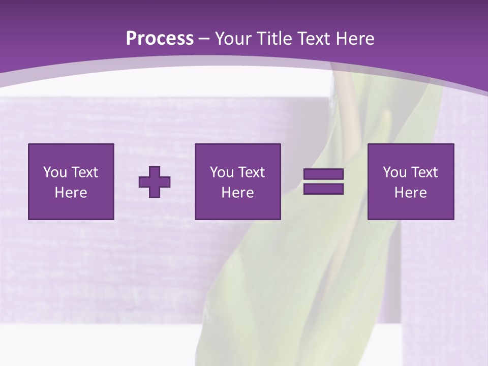 Textfreiraum Tulpe Garten PowerPoint Template