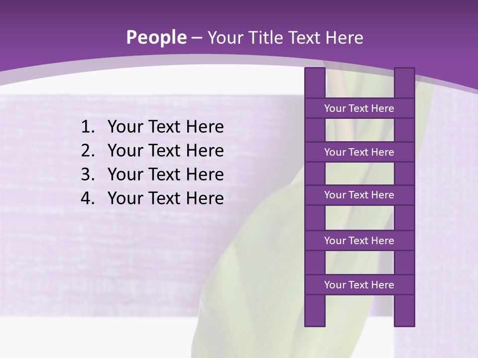 Textfreiraum Tulpe Garten PowerPoint Template