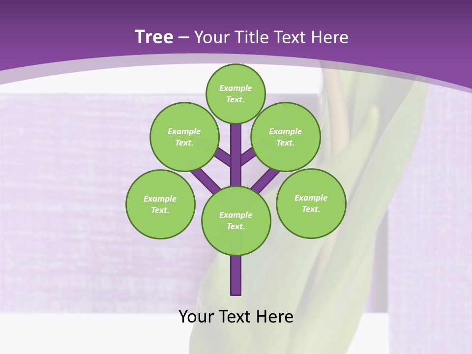 Textfreiraum Tulpe Garten PowerPoint Template