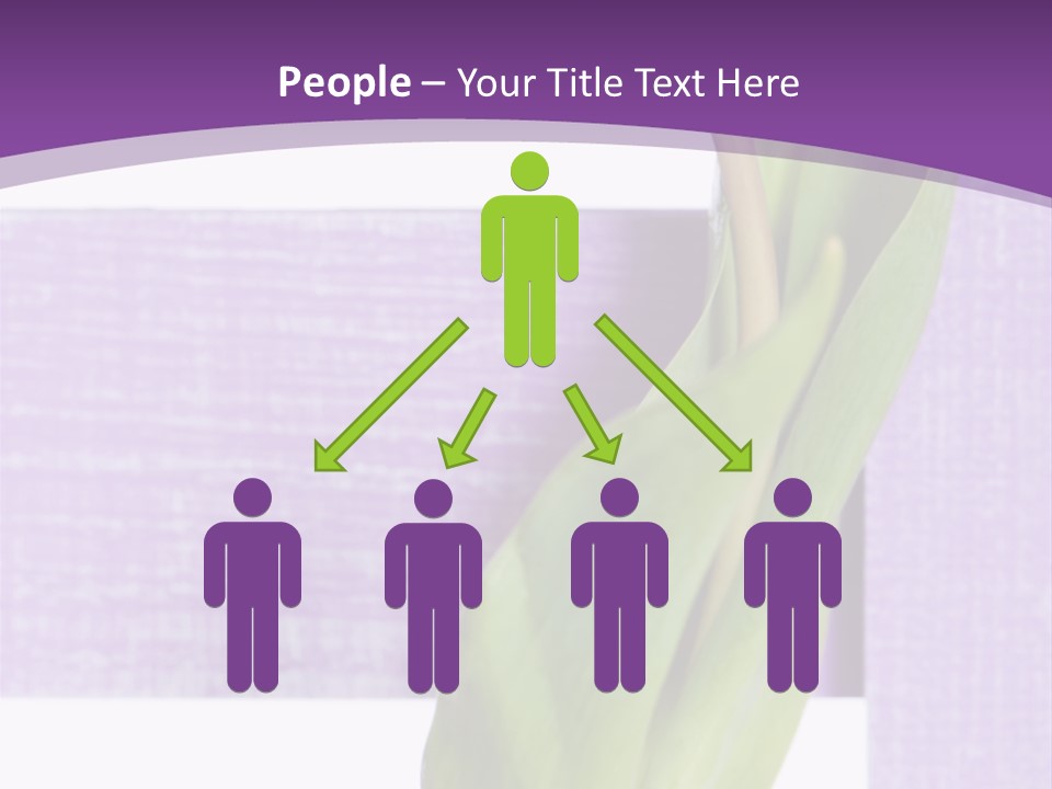 Textfreiraum Tulpe Garten PowerPoint Template