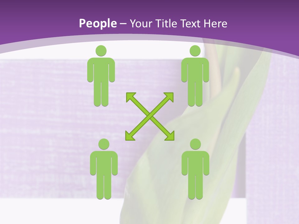 Textfreiraum Tulpe Garten PowerPoint Template