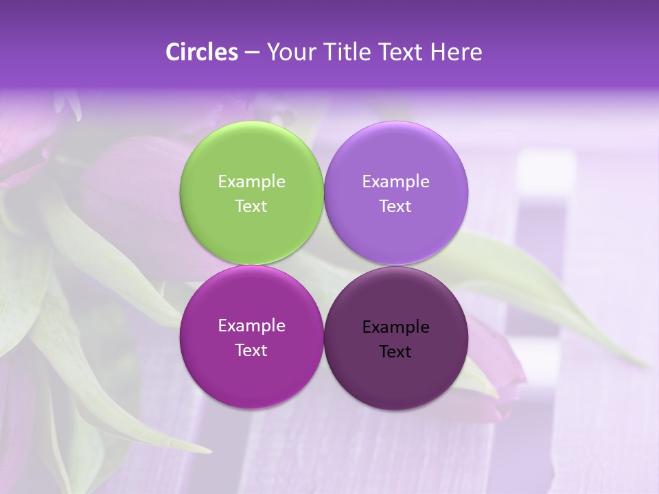 Gutschein Garten Holzuntergrund PowerPoint Template